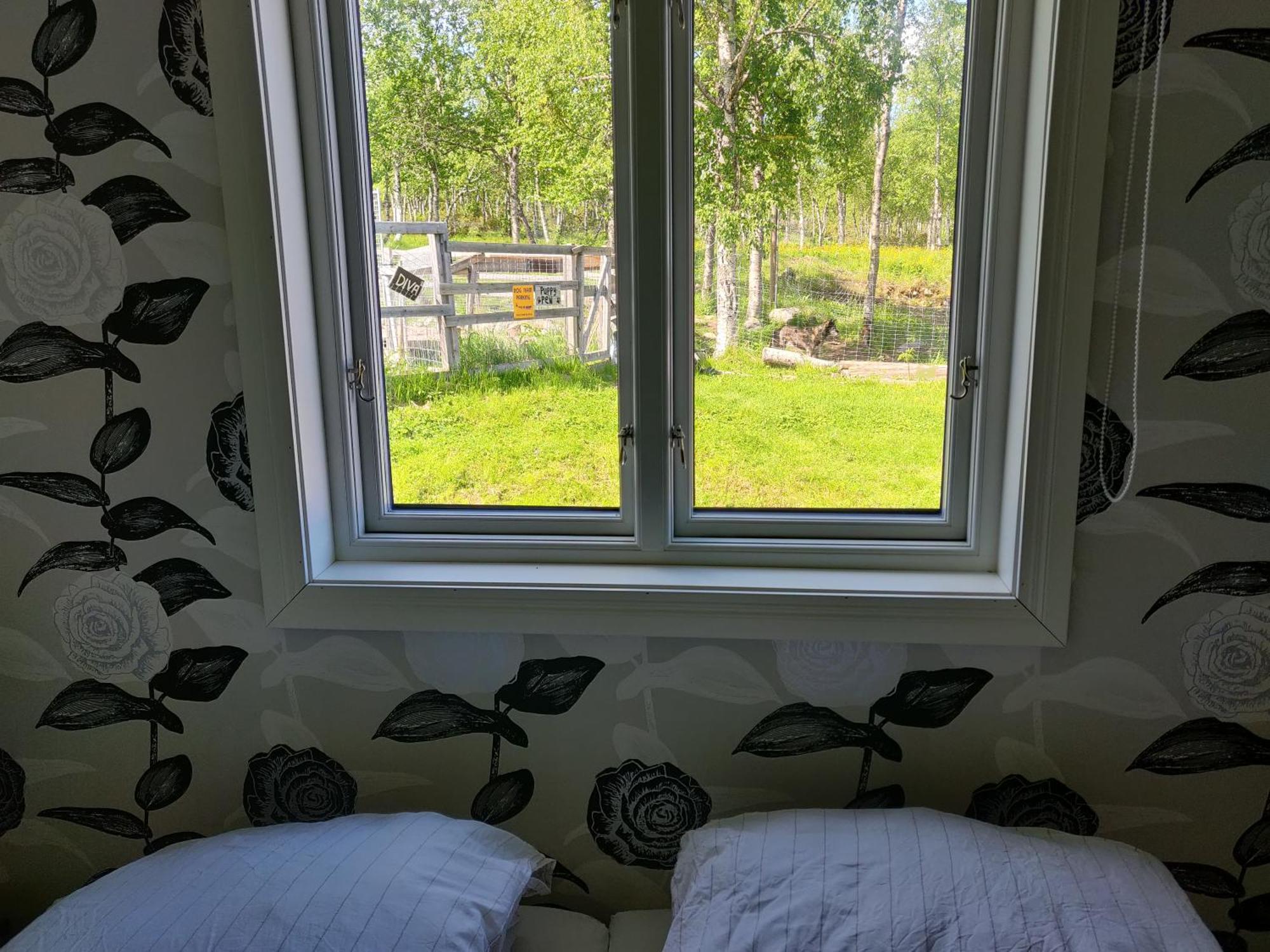 Husky Lodge Hostel Kiruna Zimmer foto